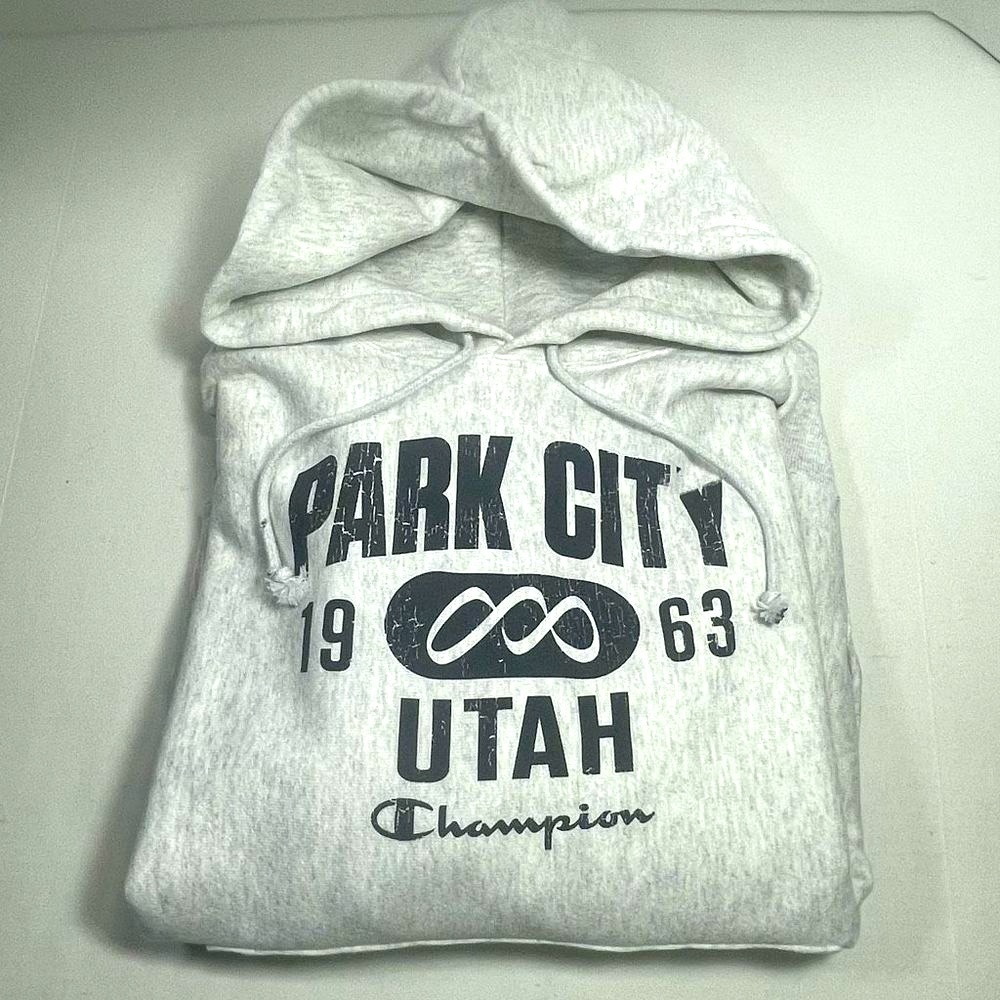 BNWT Champion Reverse Weave Park City Distressed Hoodie Unisex M PRICE FIRM - Picture 13 of 16